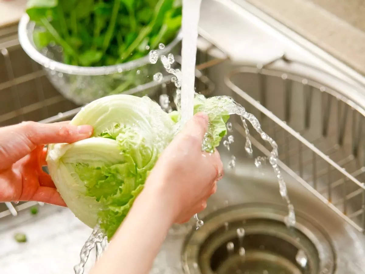 Detail Worms In Brain Due To Cabbage Nomer 20