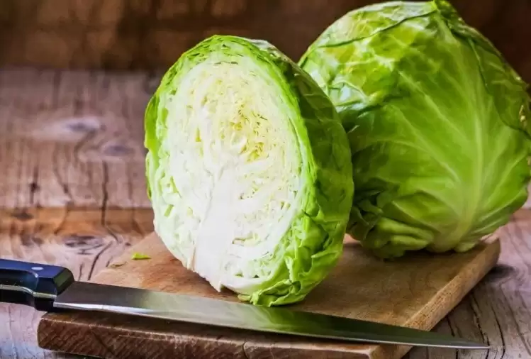 Detail Worms In Brain Due To Cabbage Nomer 27