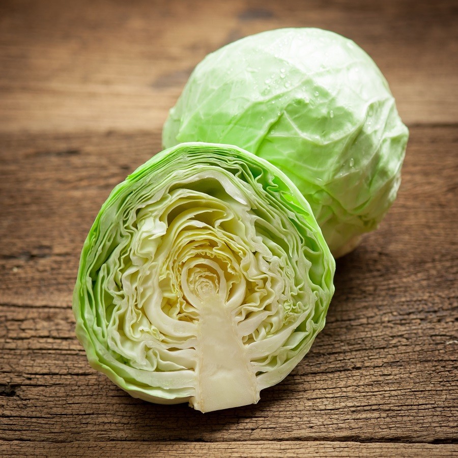 Detail Worms In Brain Due To Cabbage Nomer 36