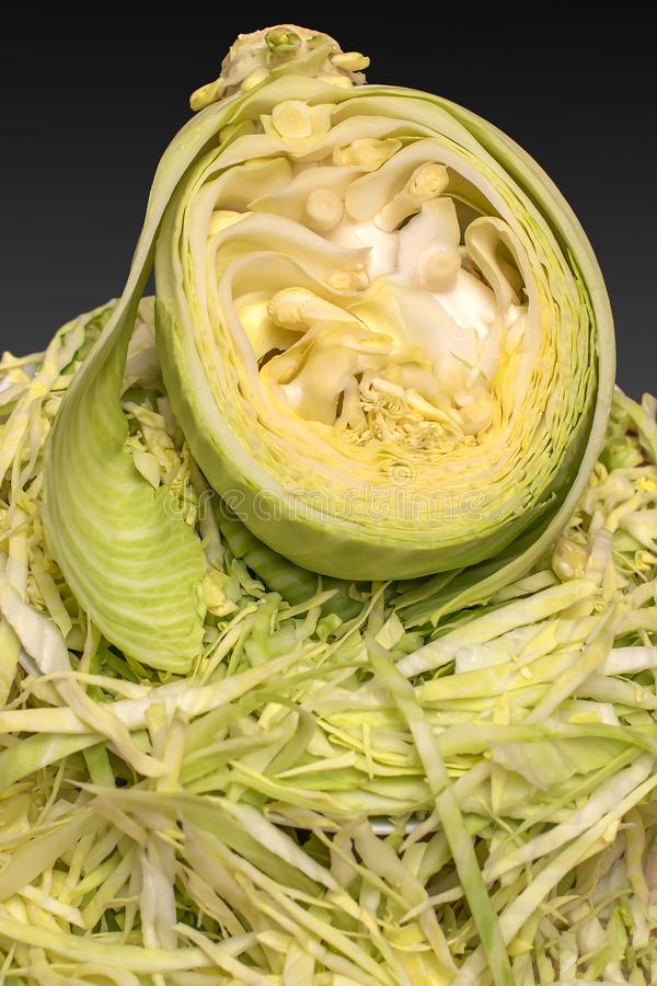 Detail Worms In Brain Due To Cabbage Nomer 52