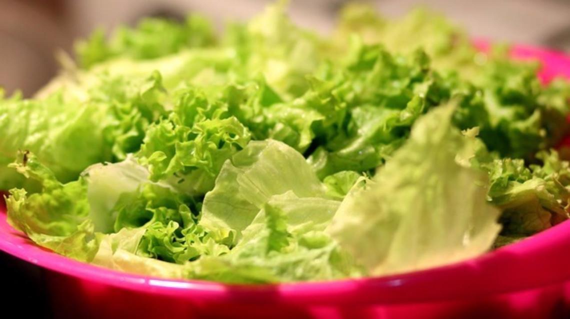 Detail Worms In Brain Due To Cabbage Nomer 54