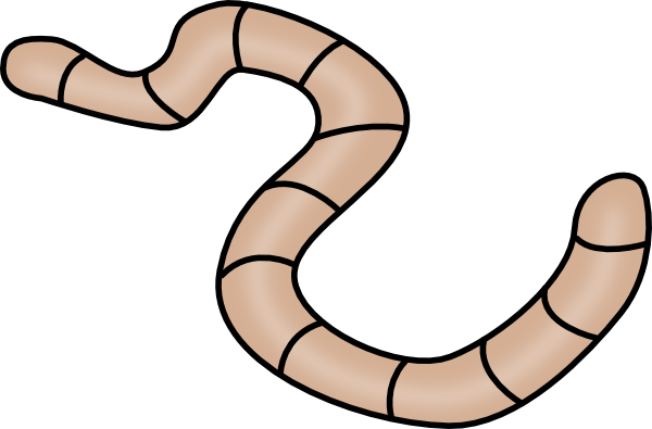 Detail Worms Png Nomer 38