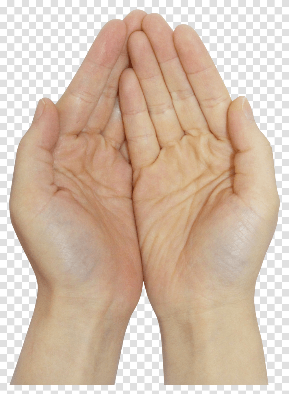 Detail Worship Hands Png Nomer 42