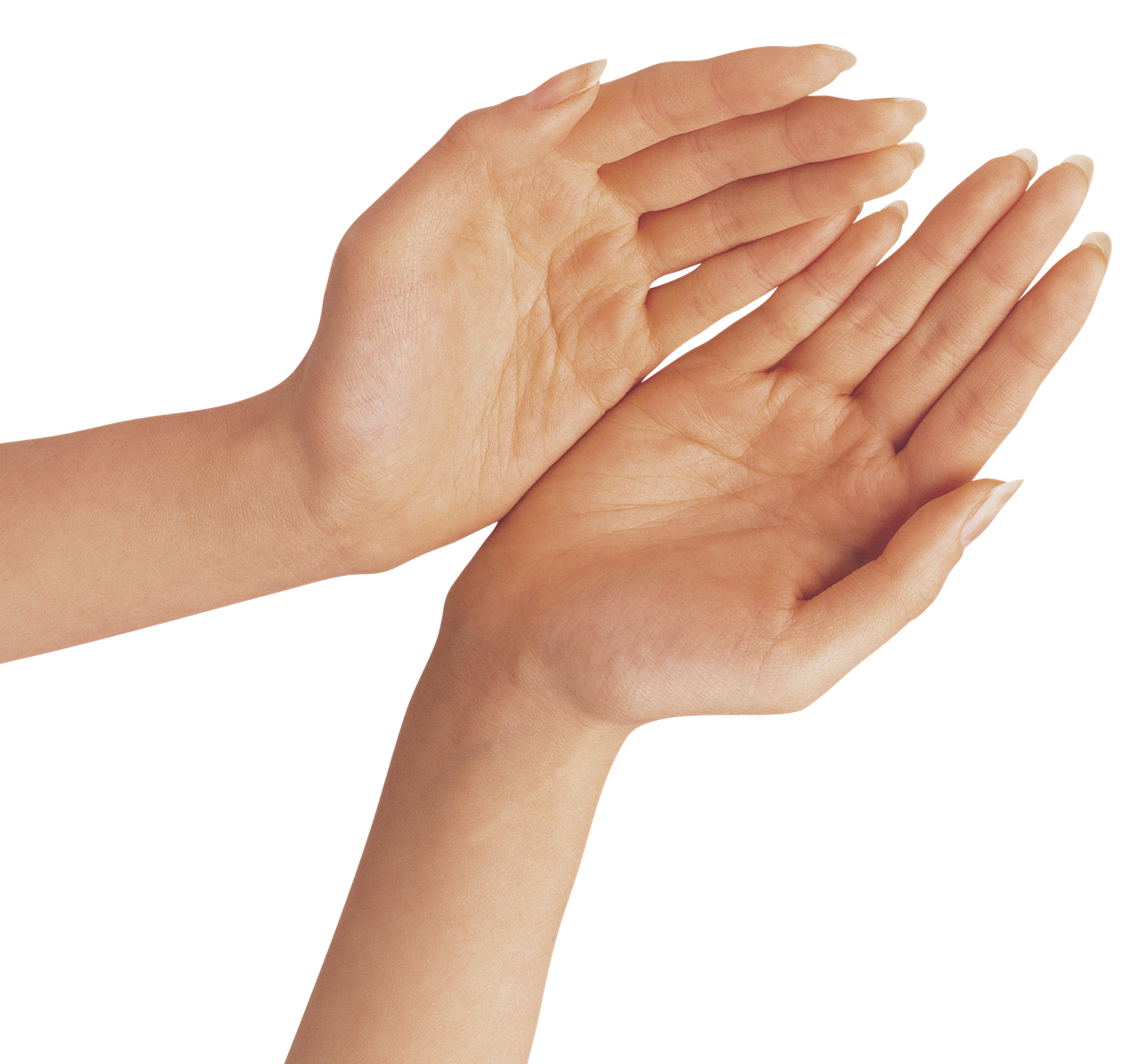 Detail Worship Hands Png Nomer 46