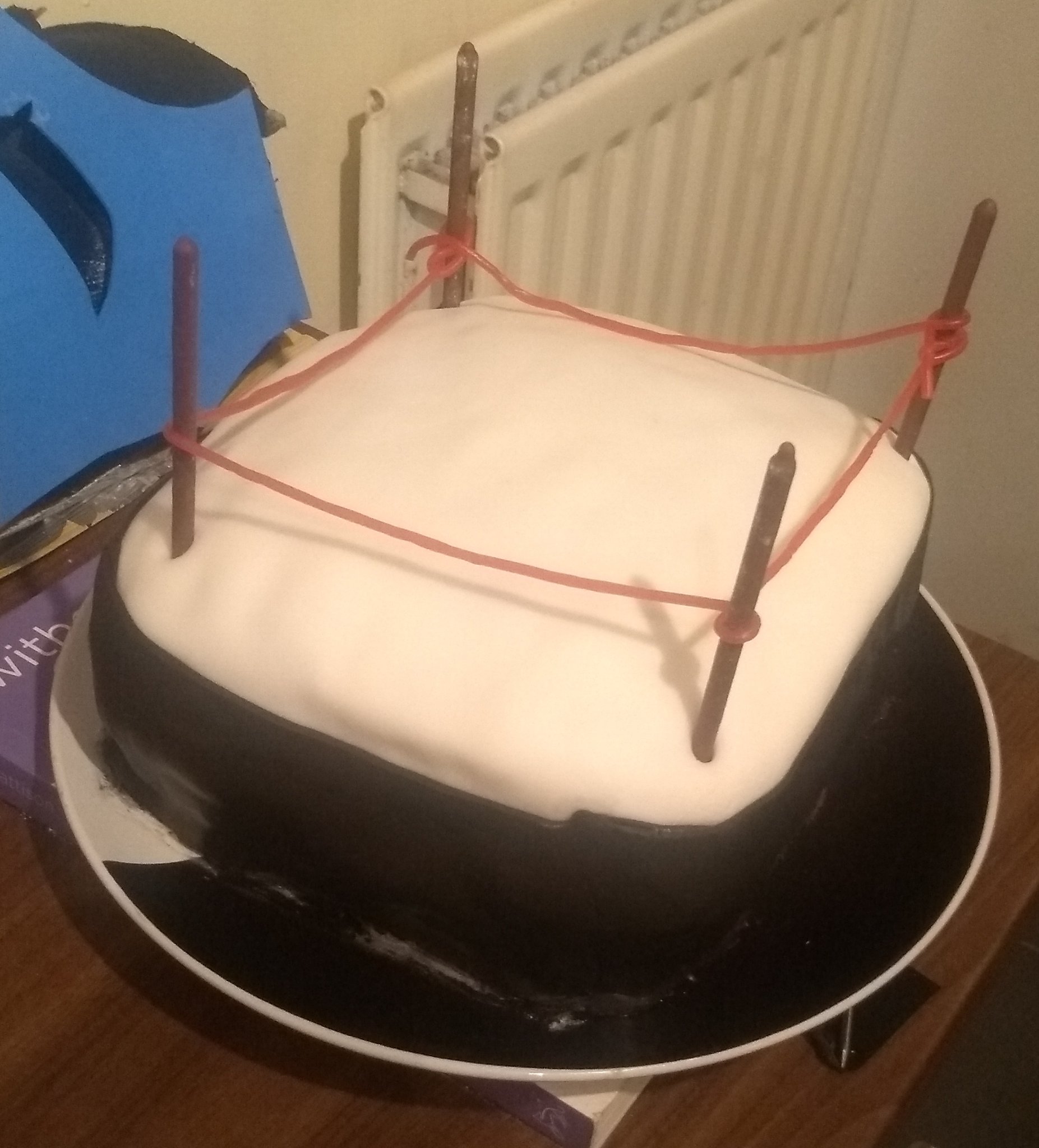 Detail Wrestling Ring Cake Ropes Nomer 54