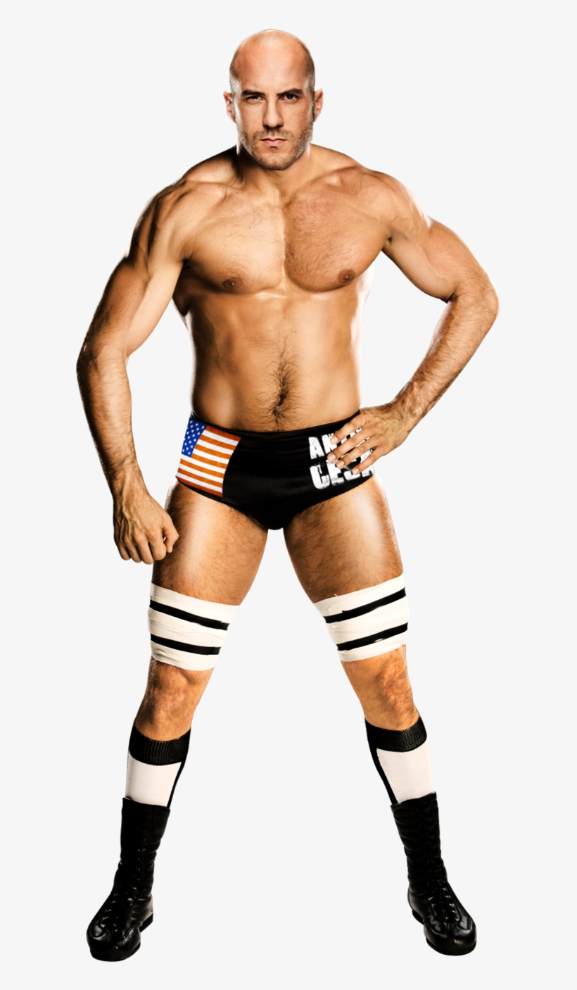 Detail Wwe Wrestlers Png Nomer 43