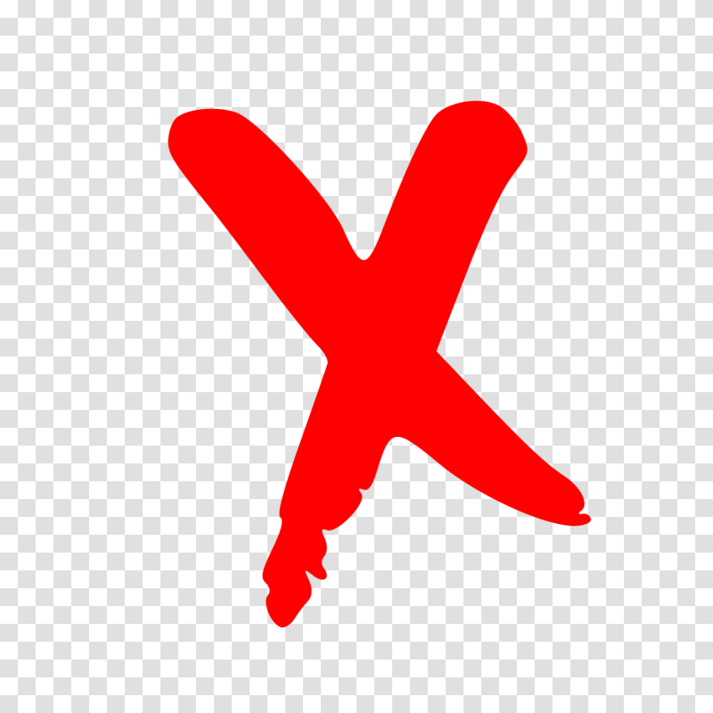 Detail X With No Background Nomer 43