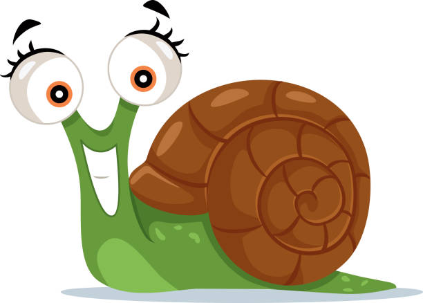 Detail Snail Clipart Nomer 26