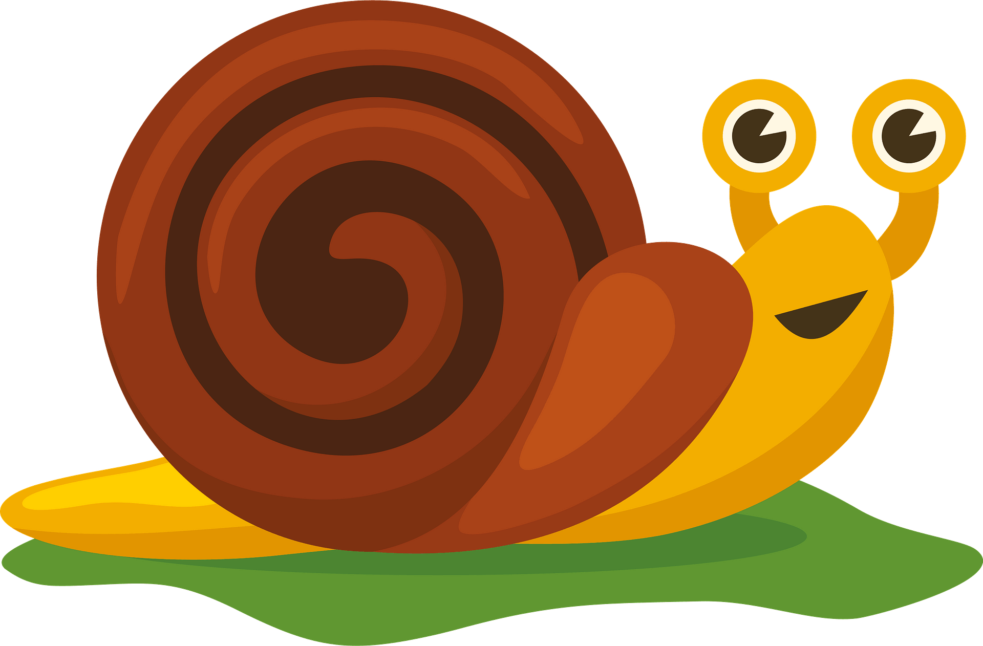 Detail Snail Clipart Nomer 27