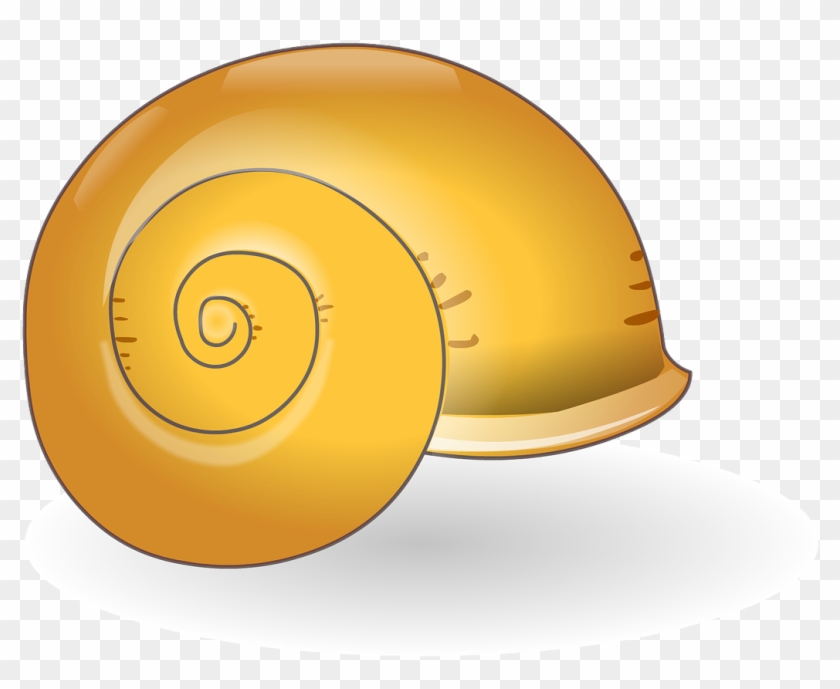 Detail Snail Clipart Nomer 49