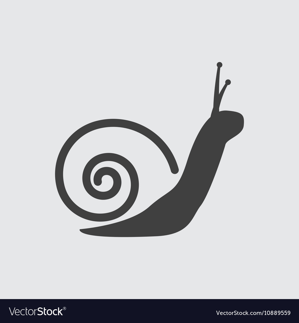 Detail Snail Images Free Nomer 42