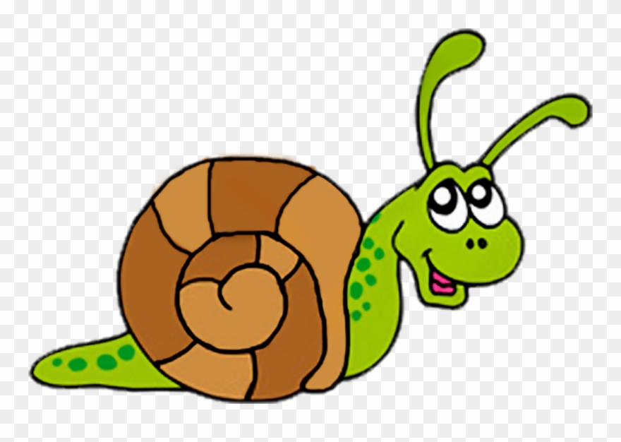 Detail Snail Png Nomer 26