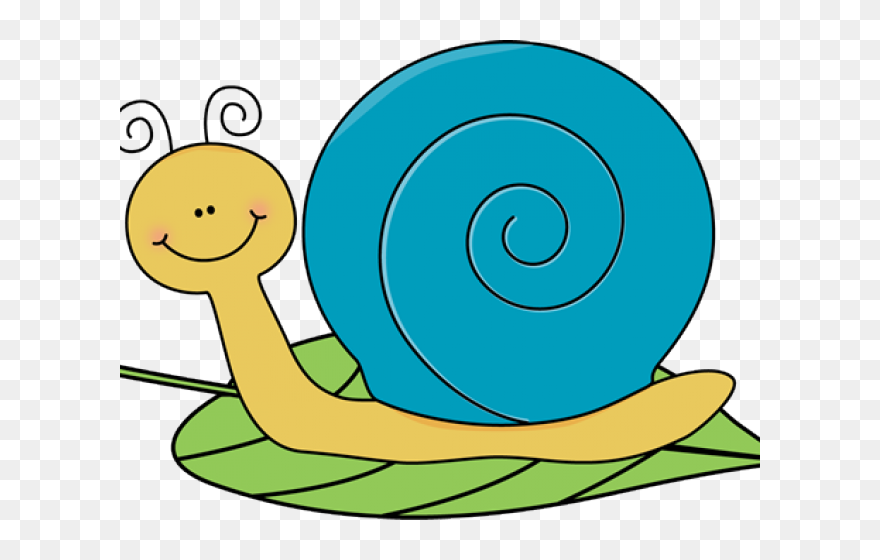 Detail Snail Transparent Background Nomer 23