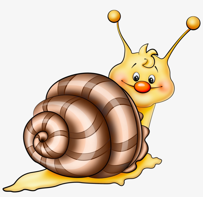 Detail Snail Transparent Background Nomer 27