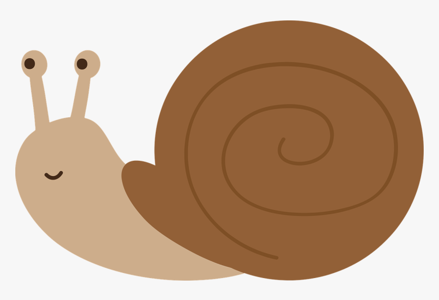 Detail Snail Transparent Background Nomer 30