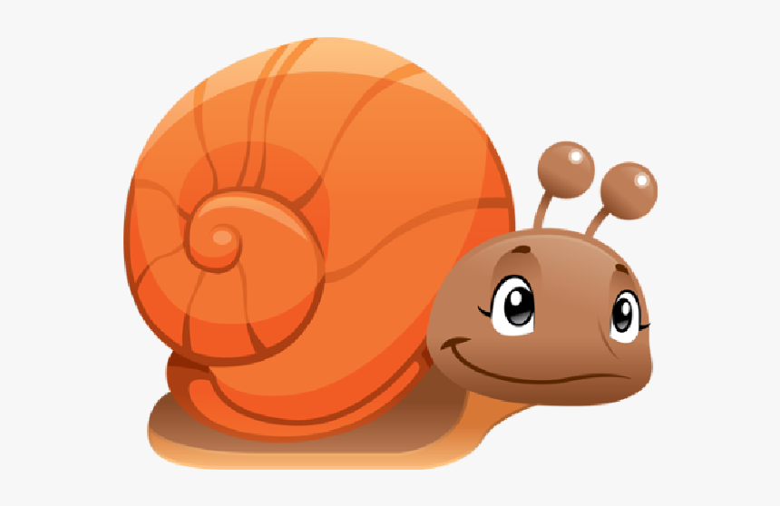 Detail Snail Transparent Background Nomer 32