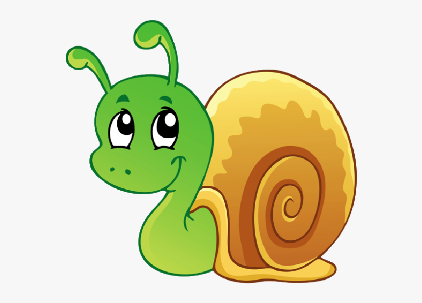 Detail Snail Transparent Background Nomer 40