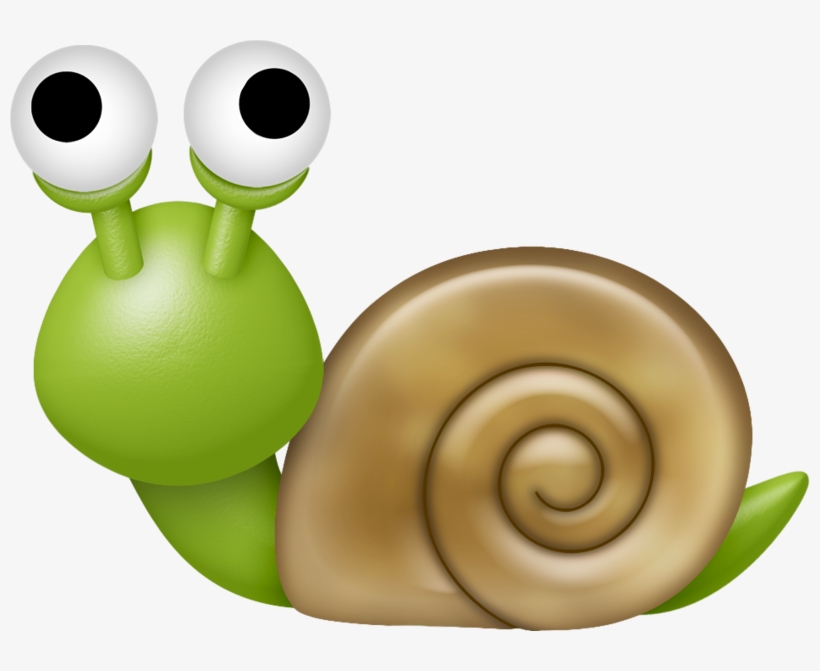 Detail Snail Transparent Background Nomer 49