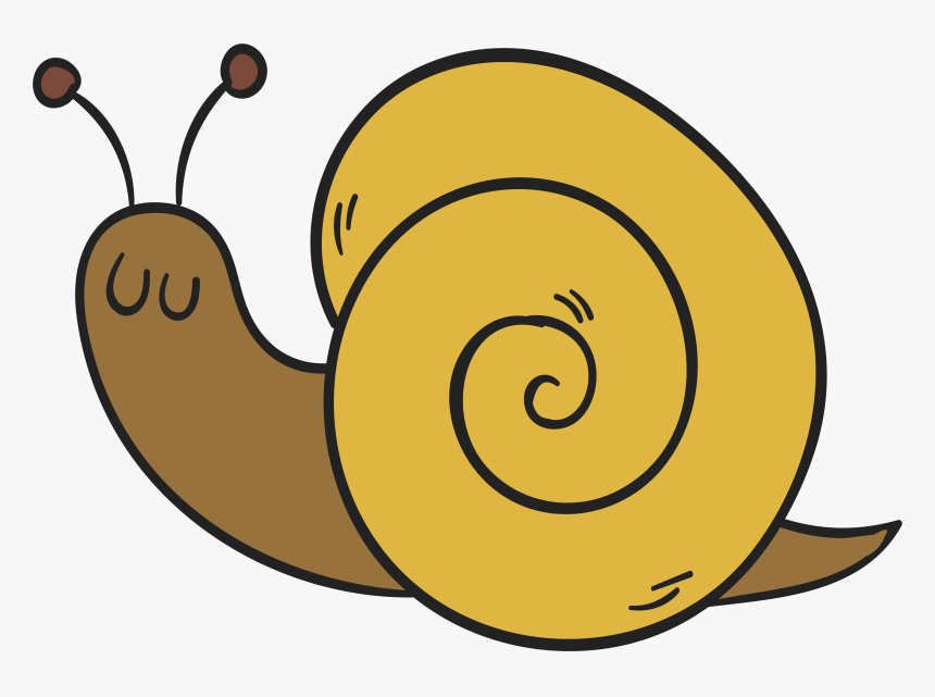 Detail Snail Transparent Background Nomer 52