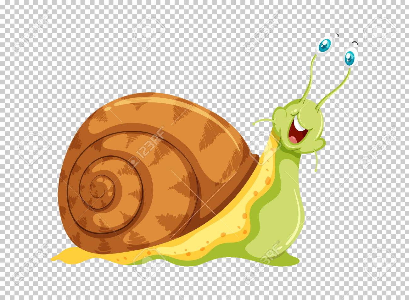 Detail Snail Transparent Background Nomer 53