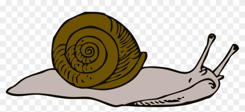 Detail Snails Clipart Nomer 42