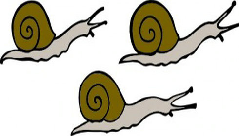 Detail Snails Clipart Nomer 45