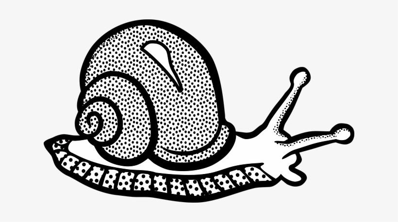 Detail Snails Clipart Nomer 51