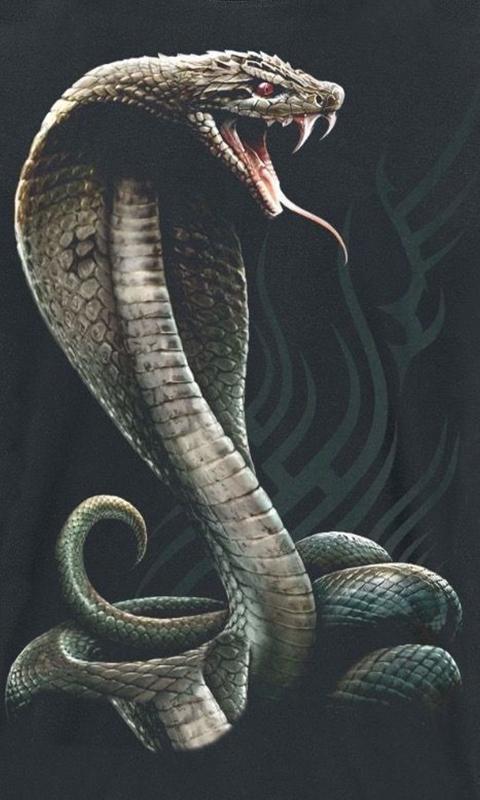 Detail Snake Images Hd Nomer 22