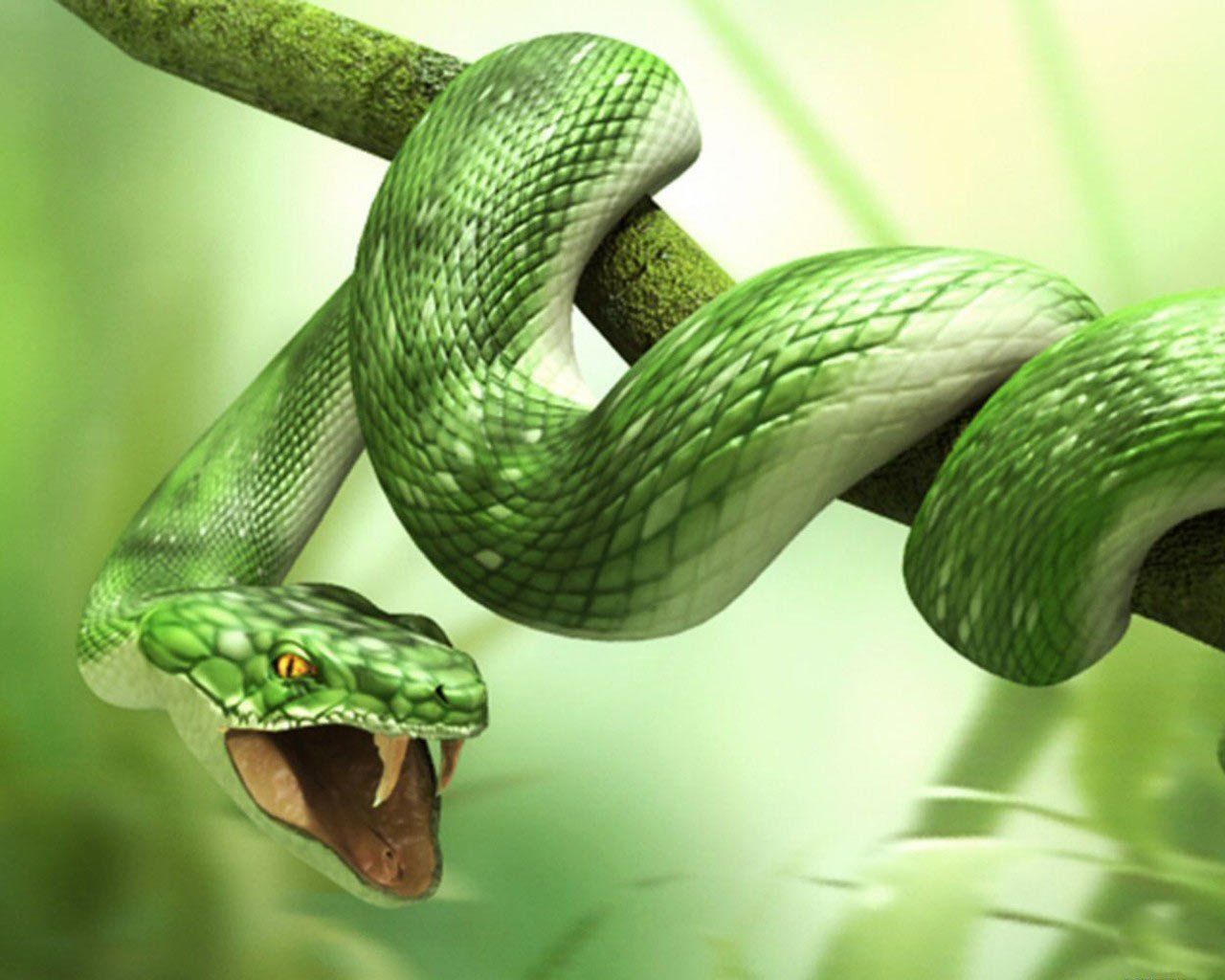 Detail Snake Images Hd Nomer 5