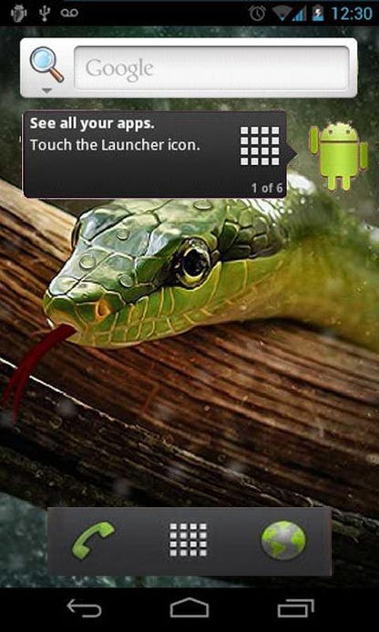 Detail Snake Live Wallpaper Nomer 52