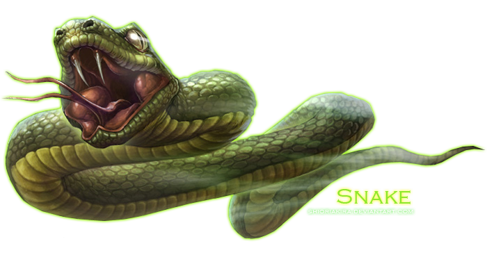 Detail Snake Png Clipart Nomer 36