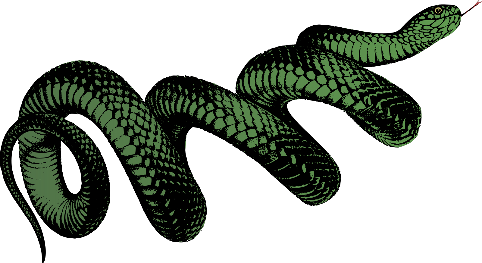 Detail Snake Png Clipart Nomer 9