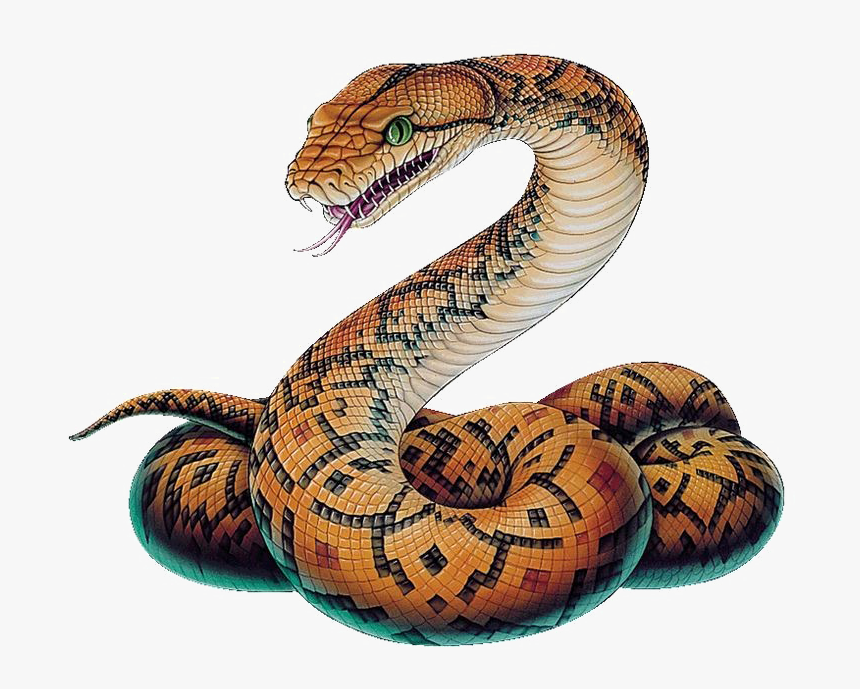 Detail Snake Png Transparent Nomer 20