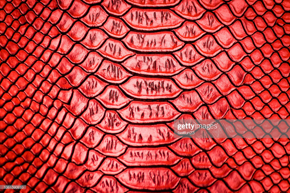 Detail Snake Scales Png Nomer 41