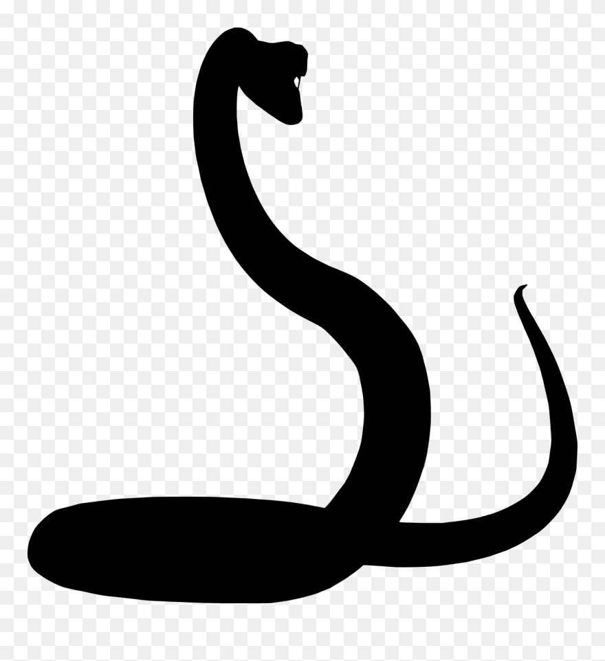Detail Snake Transparent Background Nomer 26