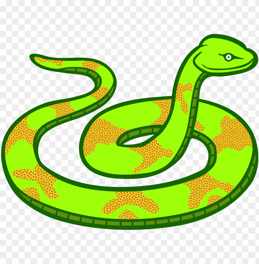 Detail Snake Transparent Png Nomer 14