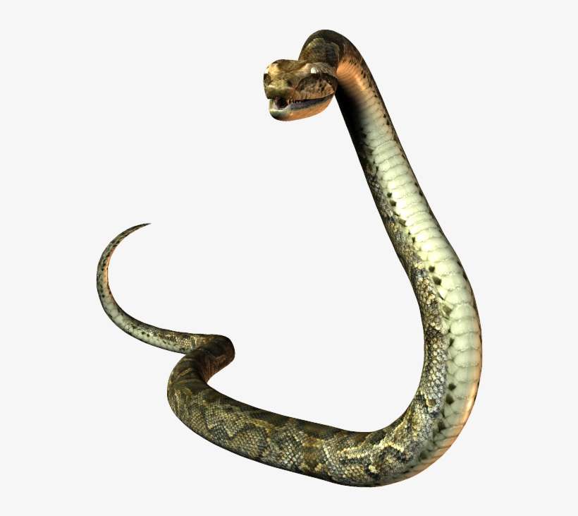 Download Snake Transparent Png Nomer 16