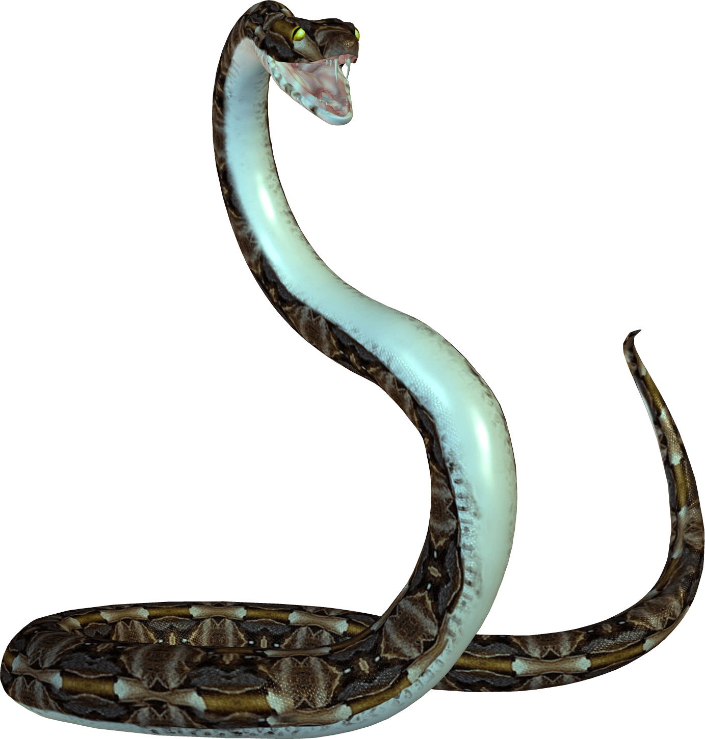 Detail Snake Transparent Png Nomer 18