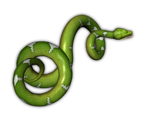 Detail Snake Transparent Png Nomer 23