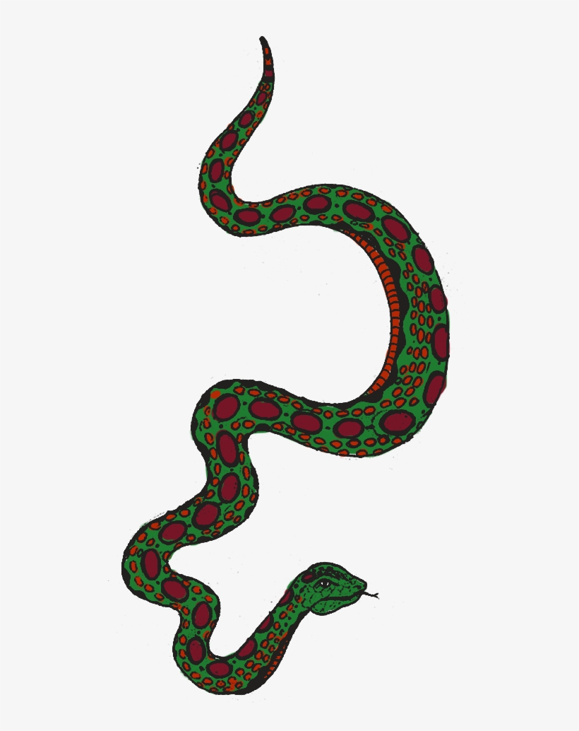 Detail Snake Transparent Png Nomer 33