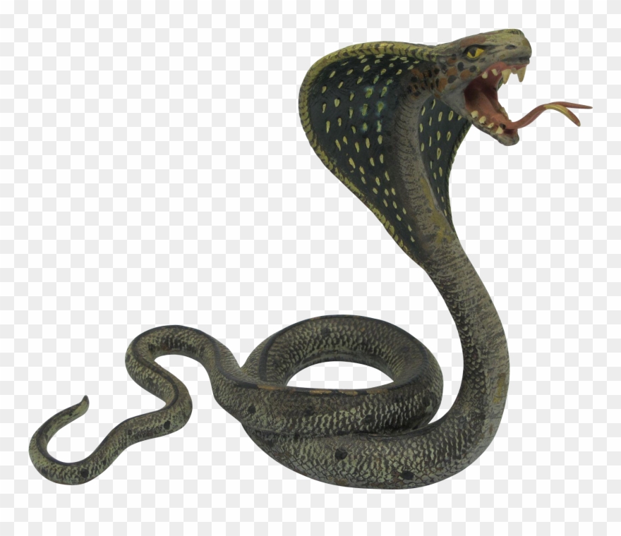 Detail Snake Transparent Png Nomer 8