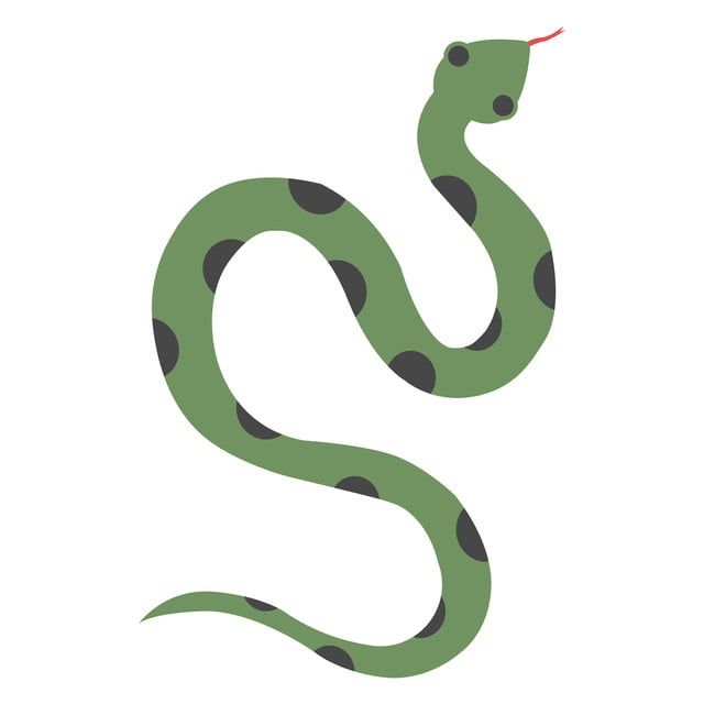 Snake Vector Png - KibrisPDR