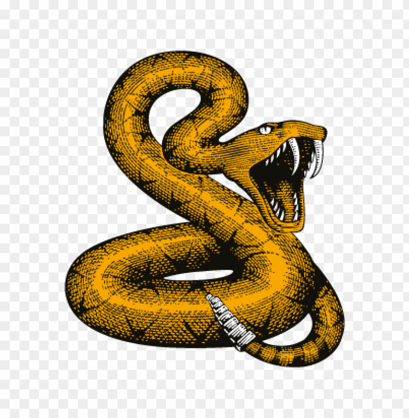 Detail Snake Vector Png Nomer 2