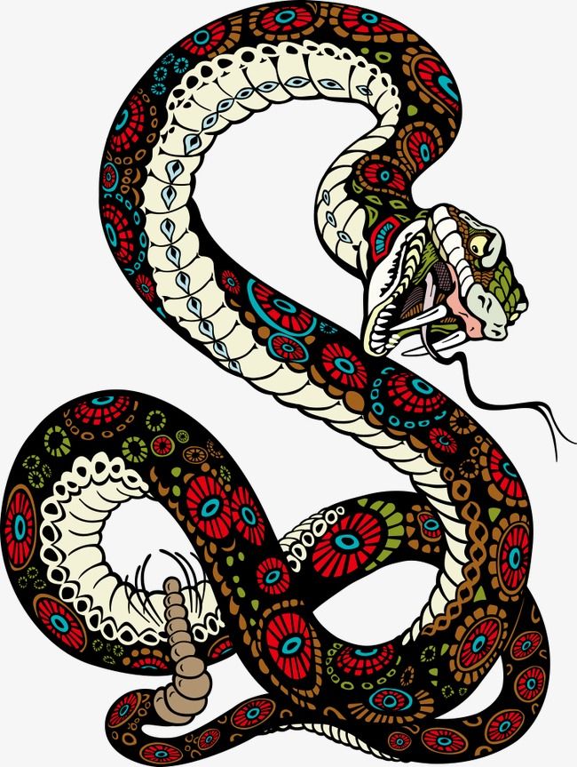 Detail Snake Vector Png Nomer 12