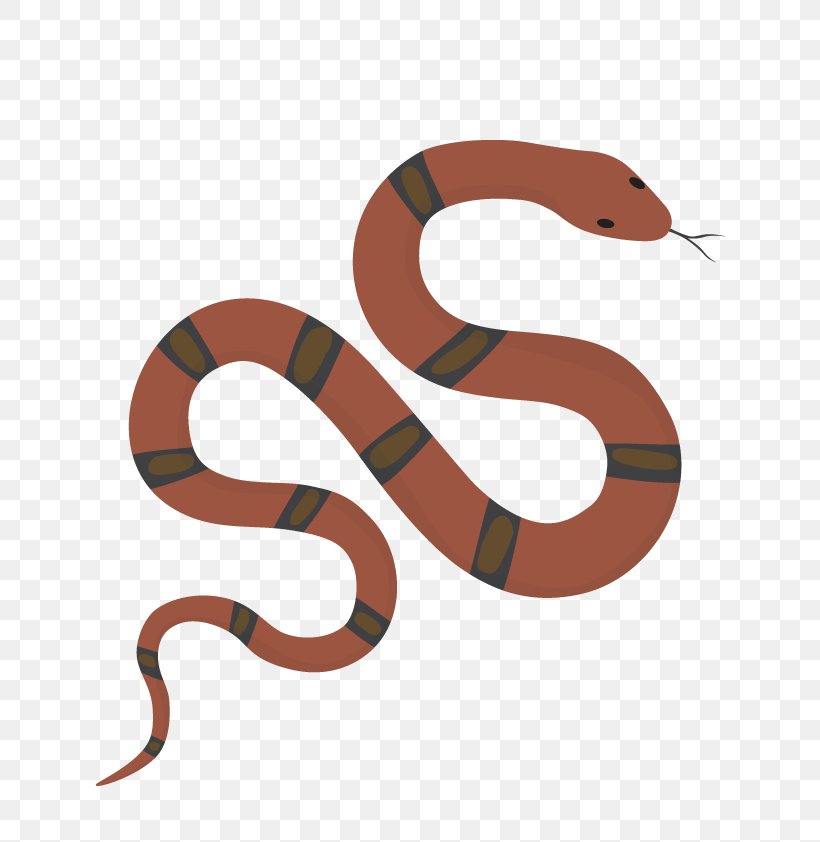 Detail Snake Vector Png Nomer 13