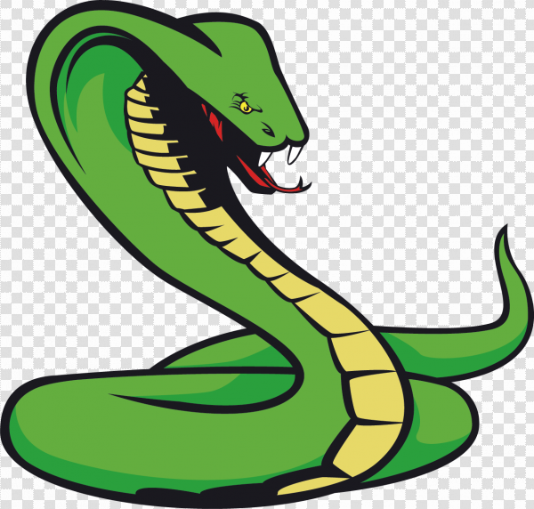 Detail Snake Vector Png Nomer 15