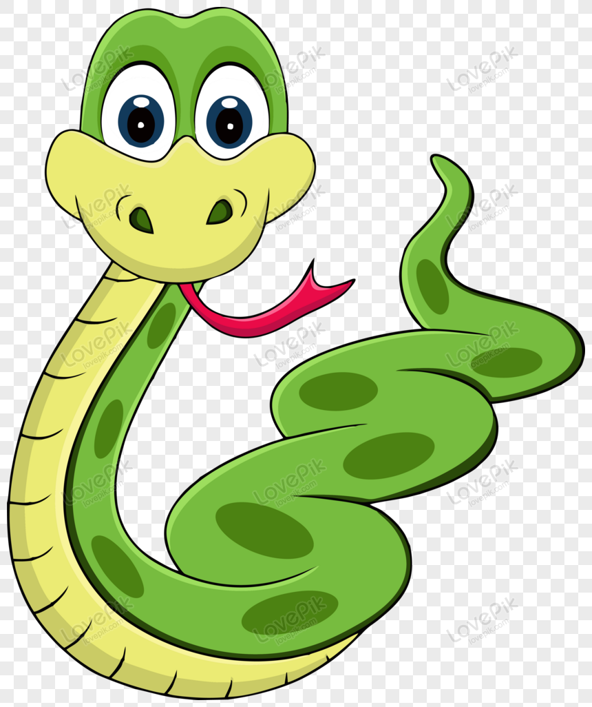 Detail Snake Vector Png Nomer 16