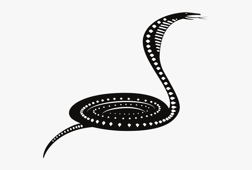 Detail Snake Vector Png Nomer 20