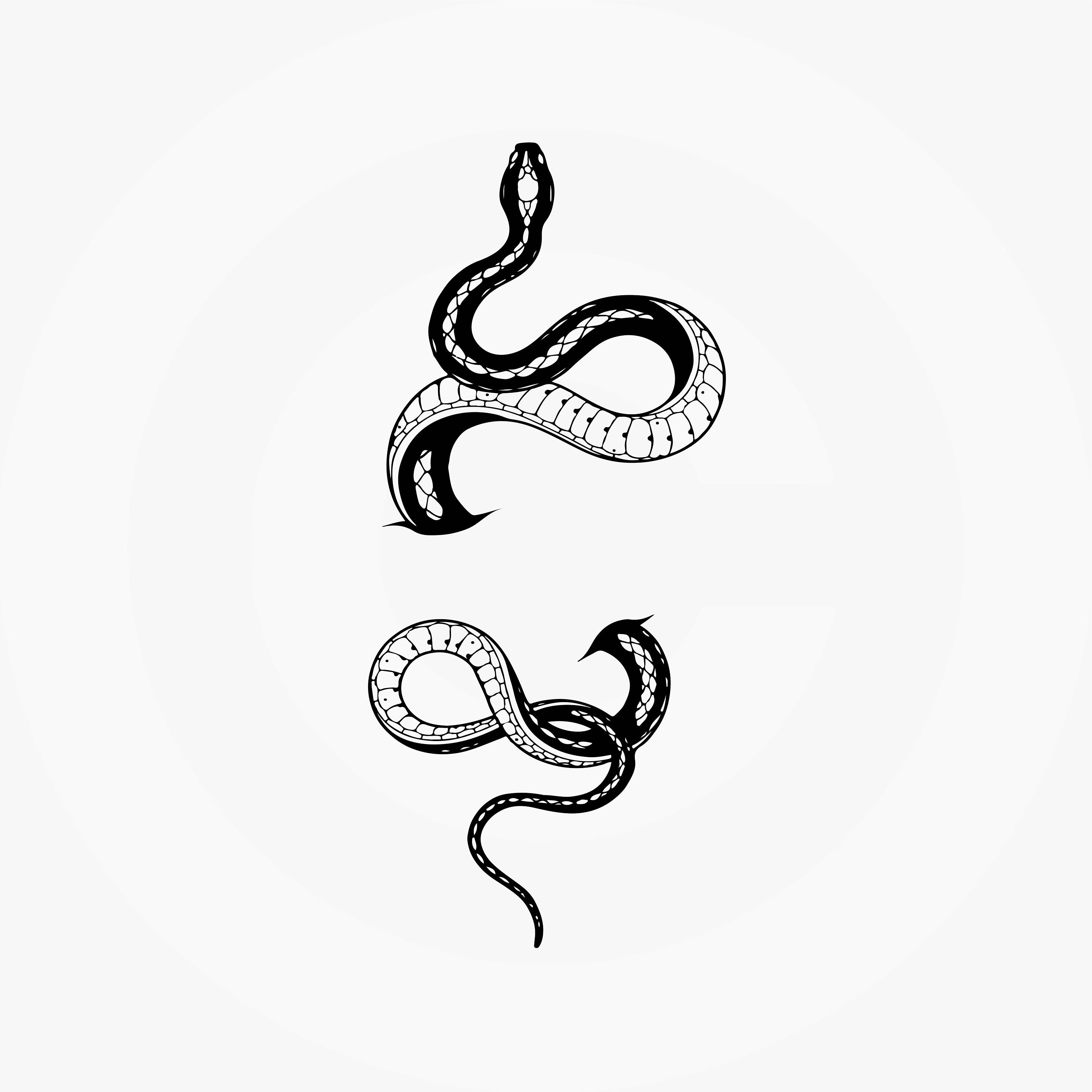 Detail Snake Vector Png Nomer 3