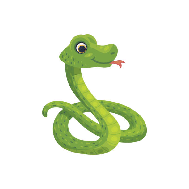 Detail Snake Vector Png Nomer 30